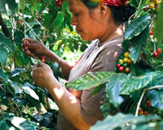 El Salvador Ahuachapan