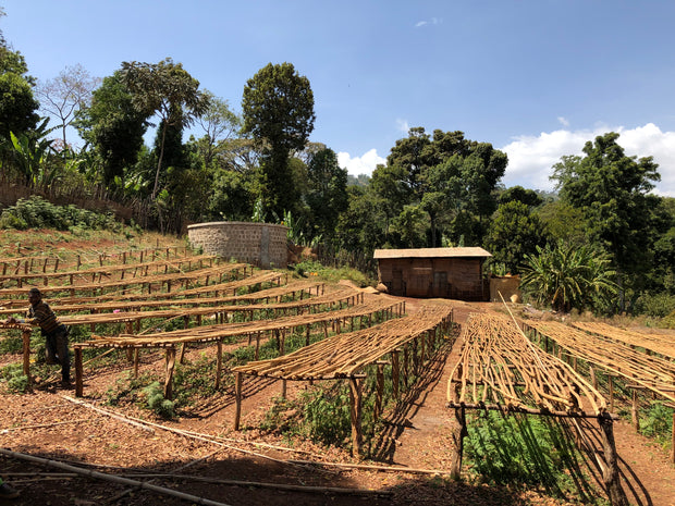 Ethiopia Yirgacheffe