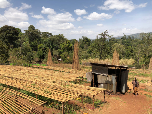 Ethiopia Yirgacheffe