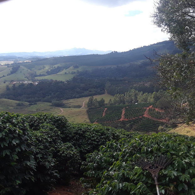 Brazil Minas Gerais