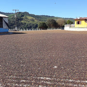 Brazil Minas Gerais