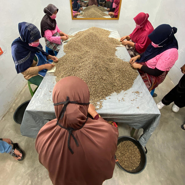 Sumatra Aceh Tengah