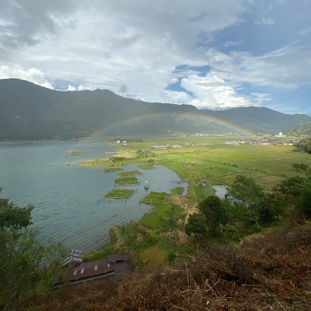 Sumatra Aceh Tengah