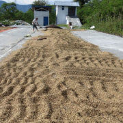 Sumatra Aceh Tengah