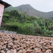 Colombia Huila