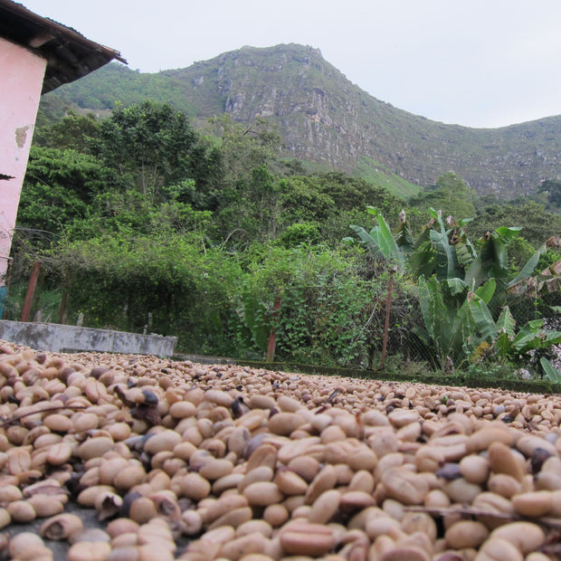 Colombia Huila